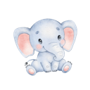 Daxiang China VPN, 巨象国内VPN